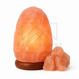 Lampe de sel de l'Himalaya naturelle pour la décoration intérieure, écologique, de haute qualité, sculptée, en vente en ligne - Product Image 6