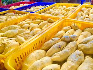 Segmentos separados de Durian congelados IQF de Vietnam de alta calidad con aroma natural y excelente sabor para compradores globales - Product Image 6