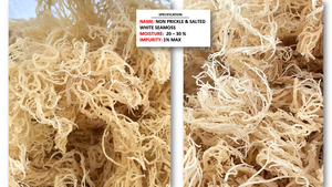 Sea Moss Eucheuma Cottonii Seaweed Style Fabricante de ingredientes crudos de Vietnam - Product Image 4