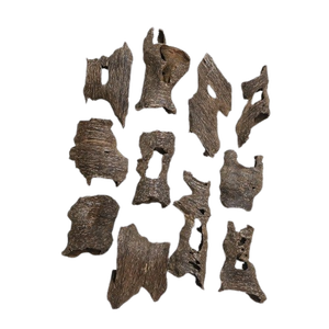 Descubre cómo mejorar tu práctica de yoga con chips de Oud. - Product Image 6