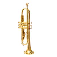 Musical Trumpet Bb Tuned Brass Polish Durable Carry Case & Mouthpiece for Marching Concerts Ceremonies Model ZE0156 Enterprises