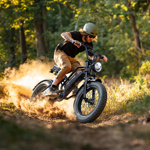 Pyg50 फ्री ड्रॉपशीपिंग इलेक्ट्रिक बाइक कार्गो ब्लैक सिटी ई-बाइक - Product Image 4