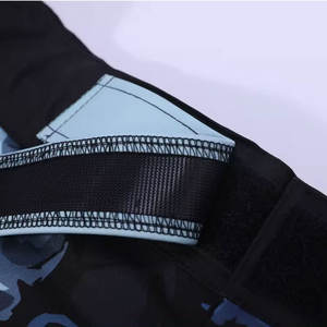 Best Quality Mma Shorts Martial Arts Wear Breathable Cheap Price New Style Quick Dry Online Sale Mma Shorts for Men - Product Image 5