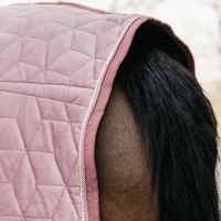 Couverture d'Écurie en Velours Rose Doré Matelassée avec Peau de Mouton, 100G 200G 300G de Remplissage Polyester, Conception Personnalisable, Dernière Tendance