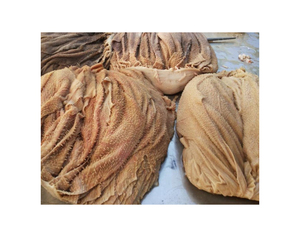 Omasum de Res Salado y Seco de Calidad Superior al Mejor Precio, Omasum de Res Congelado, Venta de Omasum de Res Seco y Salado - Product Image 1