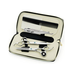 Kit de Tijeras de Peluquería de Acero Inoxidable de Alta Calidad para Uso en Salón, para Diestros - Product Image 1