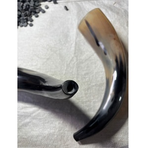 Corne à souffler de buffle 100 % naturelle de qualité supérieure, forme naturelle - Product Image 1