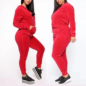 Winter New Custom Casual <b>Leisure</b> <b>Suit</b> Two-piece Set Eco-Friendly Velour Double-zipper Hooded Tracksuit Jogger <b>Women</b> Clothing Set - Product Image 5
