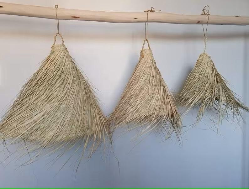 ธรรมชาติ