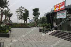 Bloques de piedra caliza natural vietnamita verde musgo flameado moderno azulejos de alta calidad económica para uso exterior - Product Image 3