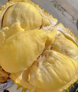 Fournisseur OEM de Durian congelé du Vietnam | VDELTA Viande de fruits tropicaux mûrs en vrac sans qualité d'exportation de coquille - Product Image 1