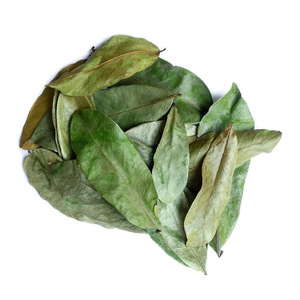 El precio más barato, hojas secas de Graviola con hoja de Guanábana seca de excelente calidad de Vietnam para exportación - Product Image 3