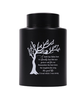 Urnas medianas de acero inoxidable para cenizas humanas, urnas medianas para cenizas, urnas de cremación de recuerdo para adultos, hombres y mujeres, tamaño personalizado - Product Image 1