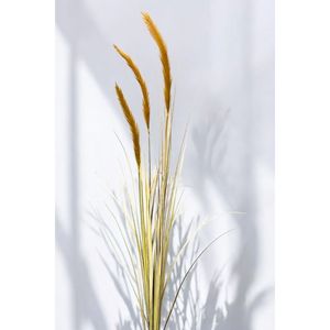 İ<span class=keywords><strong>thal</strong></span> Yapay Pampas coda di volpe marrone 140cm - Product Image 1