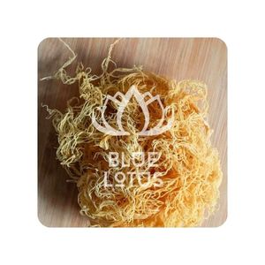 มอสจากทะเลแห้งธรรมชาติ2025บัวทะเลสีฟ้าต้นกำเนิดจากชายฝั่งที่สะอาด - Product Image 1