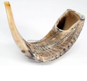 Kudu ฮอร์นขนาดกลาง - Product Image 5