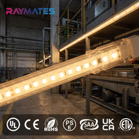 Éclairage extérieur aux tons chauds 220v Ip65 IP67 étanche, bande LED haute tension adressable COB, bande LED haute tension