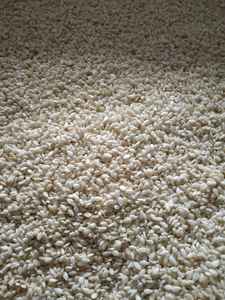 Offre de graines de sésame blanc décortiquées à bas prix, variété de couleur claire, idéales pour une utilisation culinaire, saveur riche, populaires au Moyen-Orient - Product Image 2