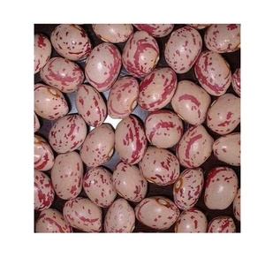 Meilleure affaire de gros sur les haricots pinto - Product Image 6