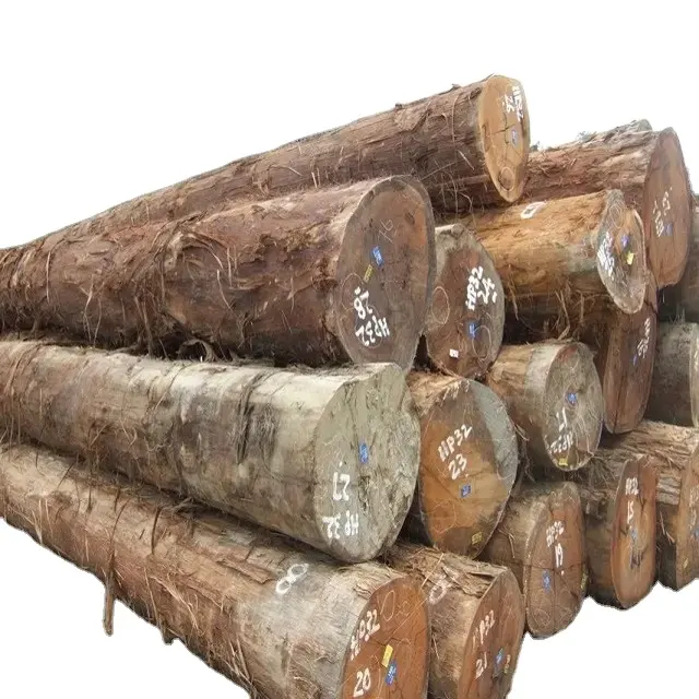 Vente en gros de bûches de chêne frêne de pin épicéa et bouleau/bois d'eucalyptus bûches de bois/bois brut