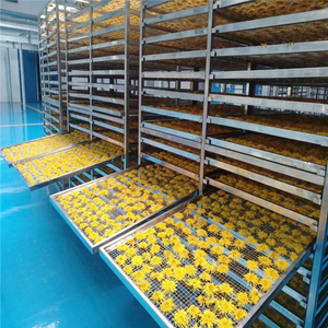 Grand four de séchage industriel pour aliments secs Équipement de stérilisation Déshydrateur commercial Séchoir à fruits et légumes - Product Image 3