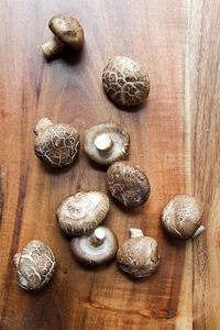 SETA FRESCA CREAR SETA SEDA O SETA CONSERVA - Product Image 4