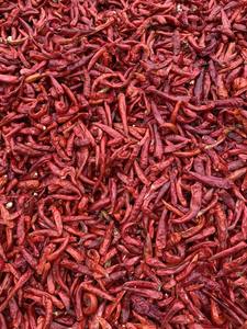 Fabricant vietnamien fournissant des piments séchés pour l'exportation à grande échelle avec une forte capacité d'usine et des piments séchés de qualité uniforme - Product Image 5