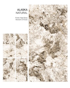 CARREAUX DE PORCELAINE ÉGLAISÉS À Finition Brillante DE QUALITÉ SUPÉRIEURE NATURELLE D'ALASKA - Product Image 2