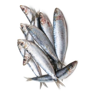 Low Price Supply Frozen Sardine <b>Fish</b> Frozen Whole Sardine - Product Image 1
