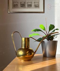 Regadera Compacta y Duradera para Jardinería Diaria y Necesidades de Almacenamiento de Agua al Aire Libre - Product Image 5