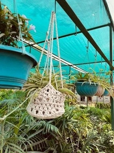 Crochet de plafond en coton fait à la main porte-pot de fleur pour balcon intérieur jardin décoratif porte-plante en macramé en gros - Product Image 3