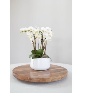 ถาดไม้แบบหมุนได้หมุนได้เรียบเนียนสำหรับโต๊ะบุฟเฟ่ต์และงานปาร์ตี้ - Product Image 5