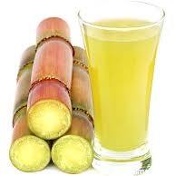 Jugo de Caña de Azúcar Liofilizado al por Mayor para Bebidas Industriales, Formulación OEM y Exportación Global - Product Image 5