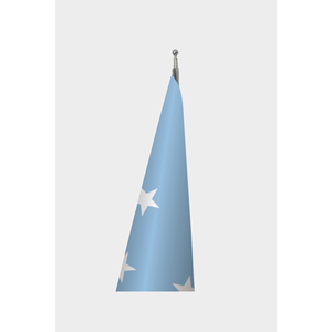 Custom 3x5ft Hand <b>Flag</b> with Digital Printing & Aluminum <b>Pole</b> <b>for</b> Insurance-Federated States of Micronesia Official Design - Product Image 3