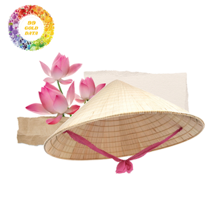 Sombrero cónico vietnamita unisex Sombrero ecológico para viajes o decoración - Product Image 2