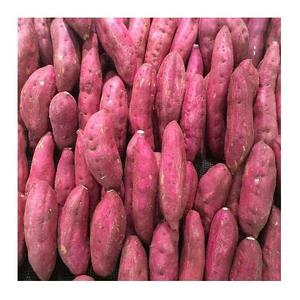 มันเทศสดออร์แกนิก - Product Image 3