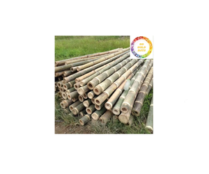 Natural <b>Bamboo</b> Fence from Vietnam - Sustainable <b>Raw</b> <b>Material</b> Ideal for Farming, Landscaping, and Building Projects - Product Image 6