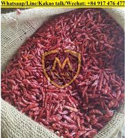 Piment rouge séché d'origine vietnamienne de qualité alimentaire prêt pour l'exportation traitement brut WhatsApp 84 917 476 477