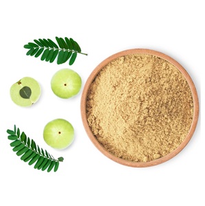 Polvo de grosella espinosa a granel/Proveedor de polvo Amla para fabricantes - Product Image 3