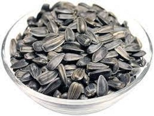 Graines de tournesol brutes de haute qualité en gros, séchées, en sacs tissés PP de 25/50 kg, durée de conservation de 24 mois, origine Pays-Bas, pour consommation humaine - Product Image 5