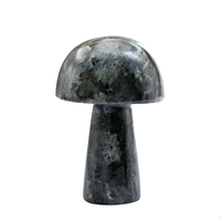 Haute qualité cristal champignon Larvikite Gua Sha corps naturel grattage outil de Massage visage pierre précieuse champignon en gros