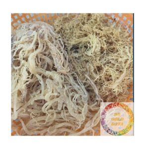 สาหร่าย Eucheuma cottonii แบบแห้งแดดธรรมชาติส่งออกจากโรงงานที่เชื่อถือได้ - Product Image 6