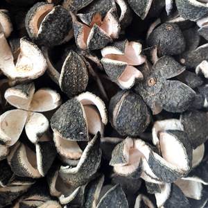 Venta al por mayor a granel de alta calidad, mandarina seca picada, seda de piel de naranja amarga - Product Image 6