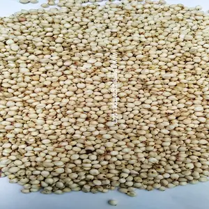 Natürlich aromatisches Premium-Sorghum-Millet / ausgezeichnete leckere Milletts Jowar aus Herstellung in Indien