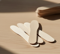 Cuillères en bois jetables de 75 mm pour la crème glacée et les desserts, mini-cuillères en bois de bouleau lisses, écologiques et biodégradables