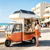 Chariot à shawarma de qualité industrielle avec gril vertical et riz hummus pour les bazars du Moyen-Orient