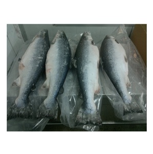 Salmón Atlántico Entero Fresco / Congelado, Proveedor de Calidad Original - Product Image 1