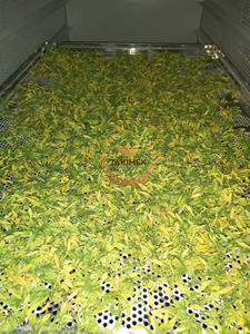 TAKIMEX 100% FLOR DE PAPAYA MACHO SECA NATURAL MUY ALTA CALIDAD MEJOR PROVEEDOR DE VIETNAM - Product Image 6