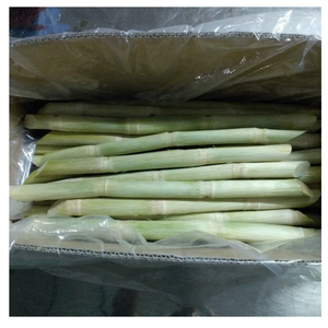 Selección de caña de azúcar congelada, tallo entero, cortes de caña de azúcar y jugo de caña puro de Vietnam - Product Image 1