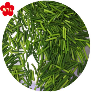 fresh green garlic sprout